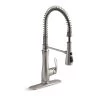 Kohler Bellera Single Handle Semi Professional Kitchen Sink Faucet 29106