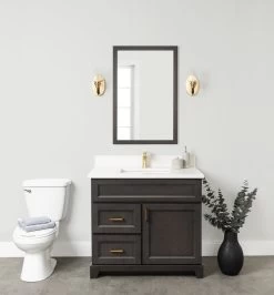 Stonewood Bellrose Lakewood Stained Classic Freestanding Vanity With Countertop And Sink