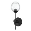Dainolite 1 Light Halogen Matte Black Vanity Light W/ Clear Glass