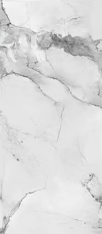 Magic Slab TJ-20232 Continuous Pattern - Image 2