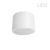 Dainolite 15W Flush Mount, Matte White With White Diffuser