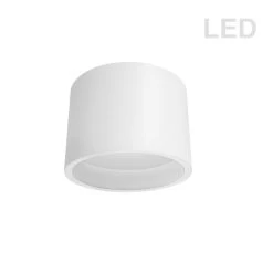 Dainolite 15W Flush Mount, Matte White With White Diffuser