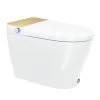 Equinox Smart Toilet All-in-one - Gold