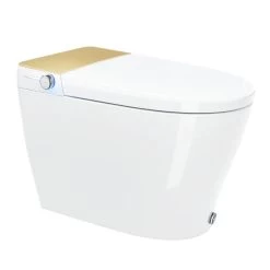 Equinox Smart Toilet All-in-one - Gold