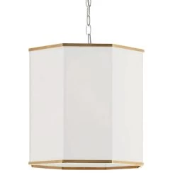 Dainolite 1 Light Incandescent Matte White Pendant W/ White Shade