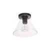 Dainolite 1 Light Matte Black Flush Mount W/ Clear Glass
