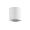 Dainolite 1 Light Flush Mount, Matte White