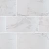MSI Carrara Porcelain Tile 12 X 24 Polished