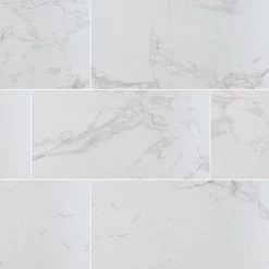 MSI Carrara Porcelain Tile 12 X 24 Polished