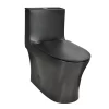 Rubi One-Piece Toilet - RCM130XX