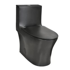 Rubi One-Piece Toilet - RCM130XX